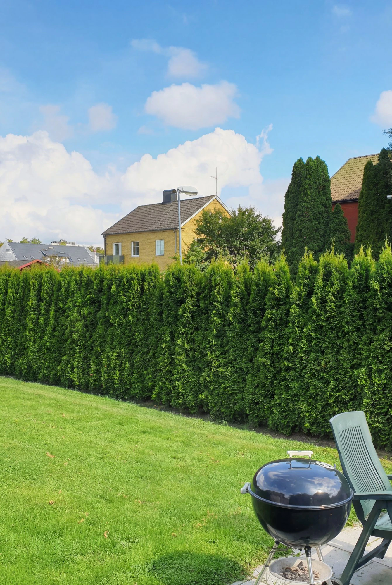 Thuja Smaragd Rodklump Genius Pakke 220-260cm - Billede 2