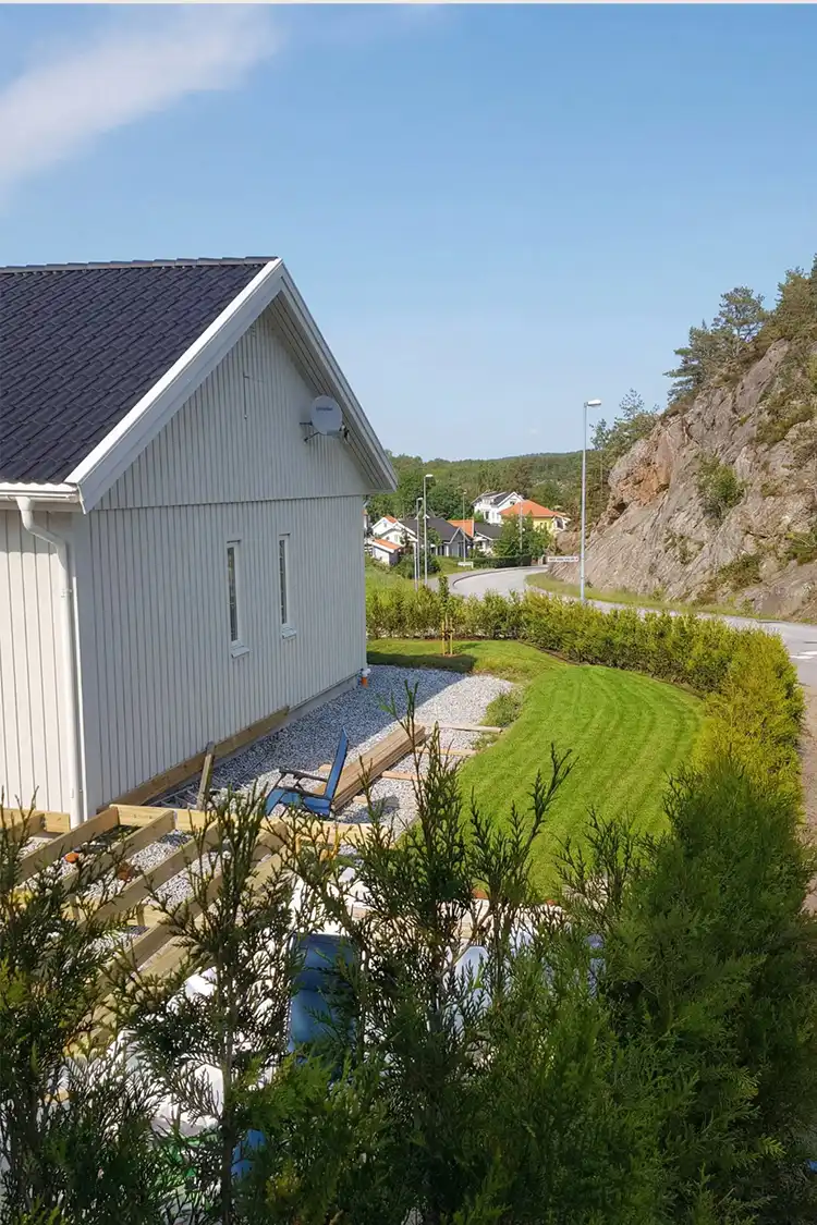 Kæmpethuja Potte 40-80cm - Billede 5