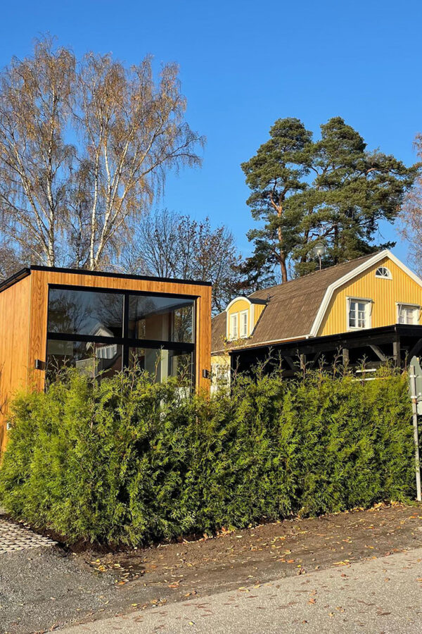 Thuja Brabant rodklump 140-180cm 50-pak