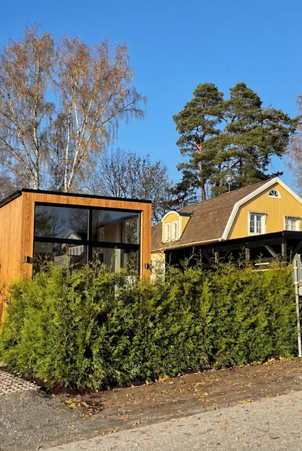 Thuja Brabant Rodklump Genius Pakke 180-220cm - Billede 2