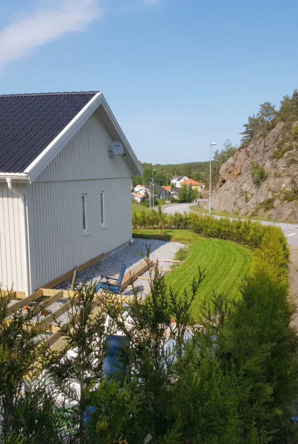 Kæmpethuja Rodklump Genius Pakke 100-140cm - Billede 2