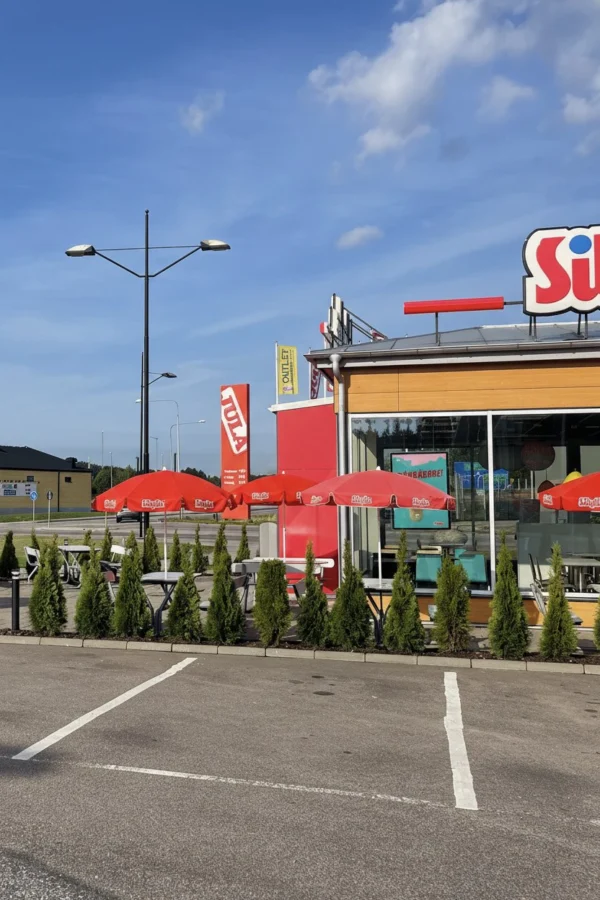 Thuja Smaragd Potte Budget Pakke 60-100cm - Billede 2